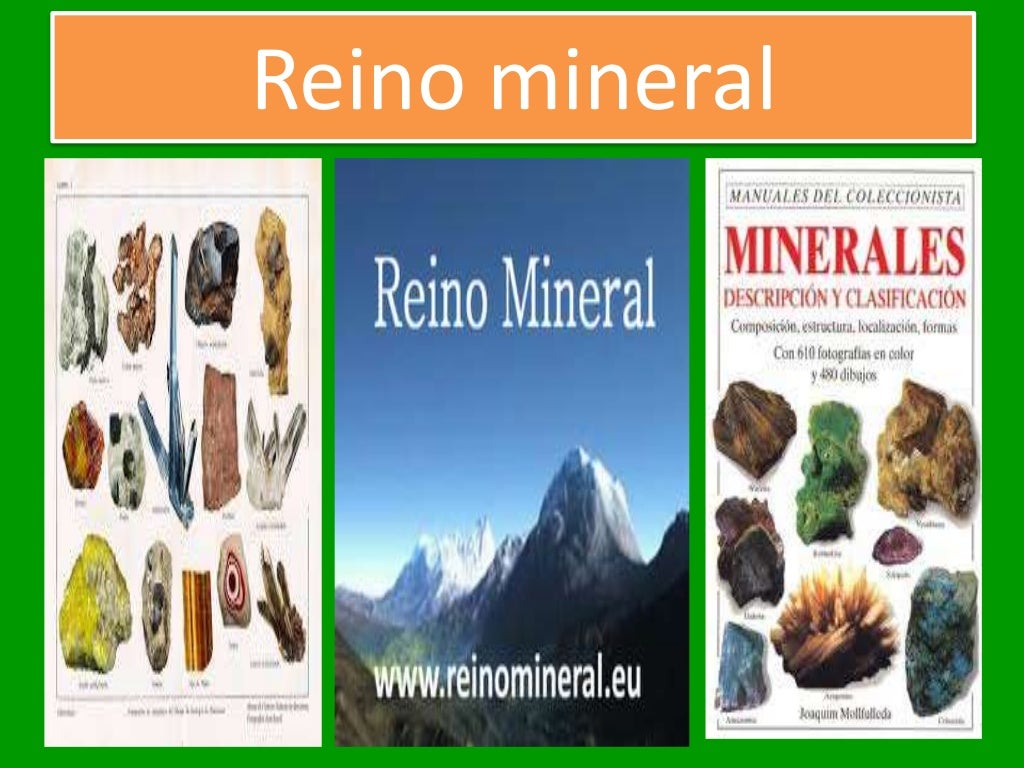 Reinos de la naturaleza Reinos de la naturaleza