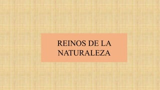 REINOS DE LA
NATURALEZA
 