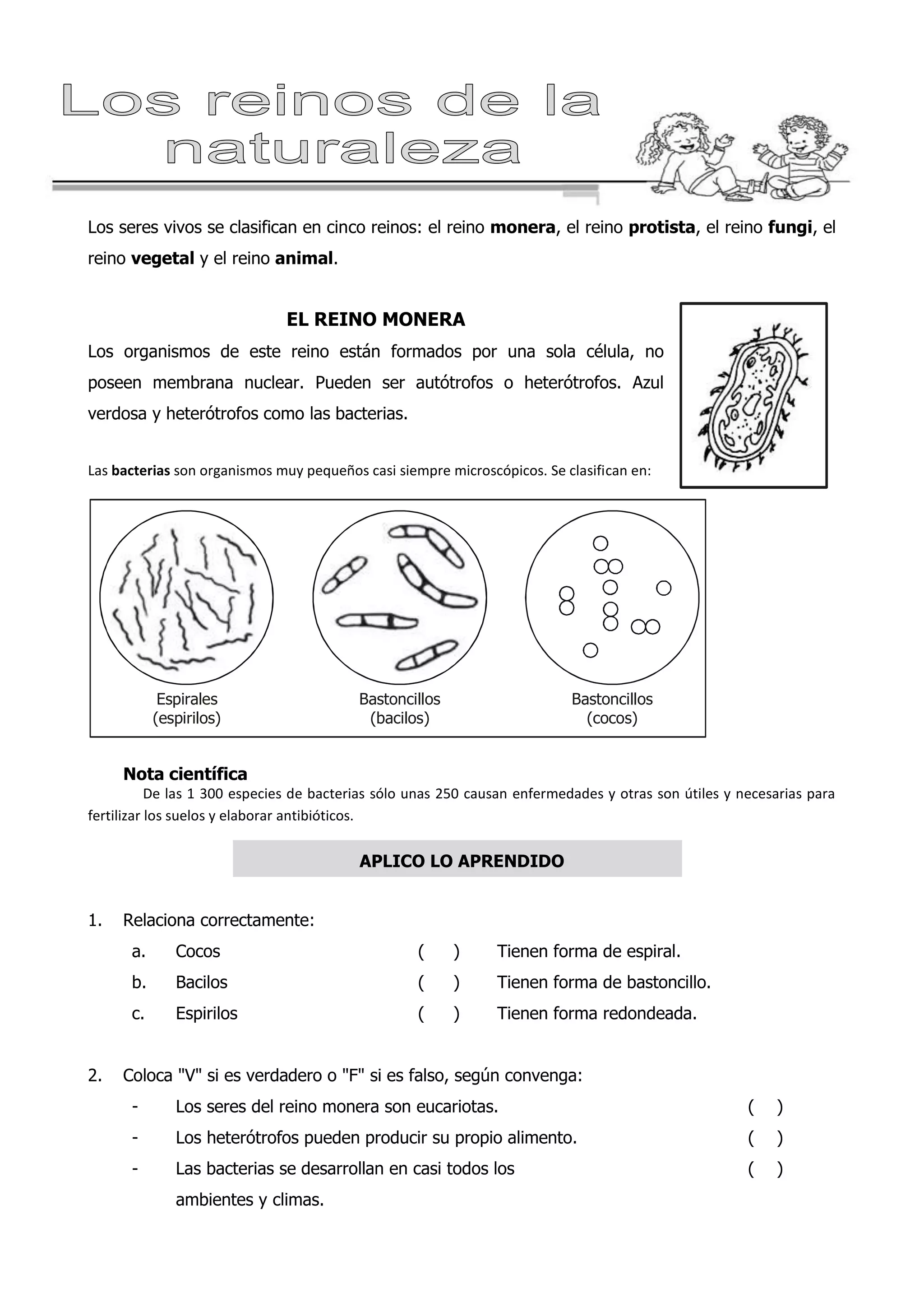 Reinos de la Naturaleza 6to Primaria.doc