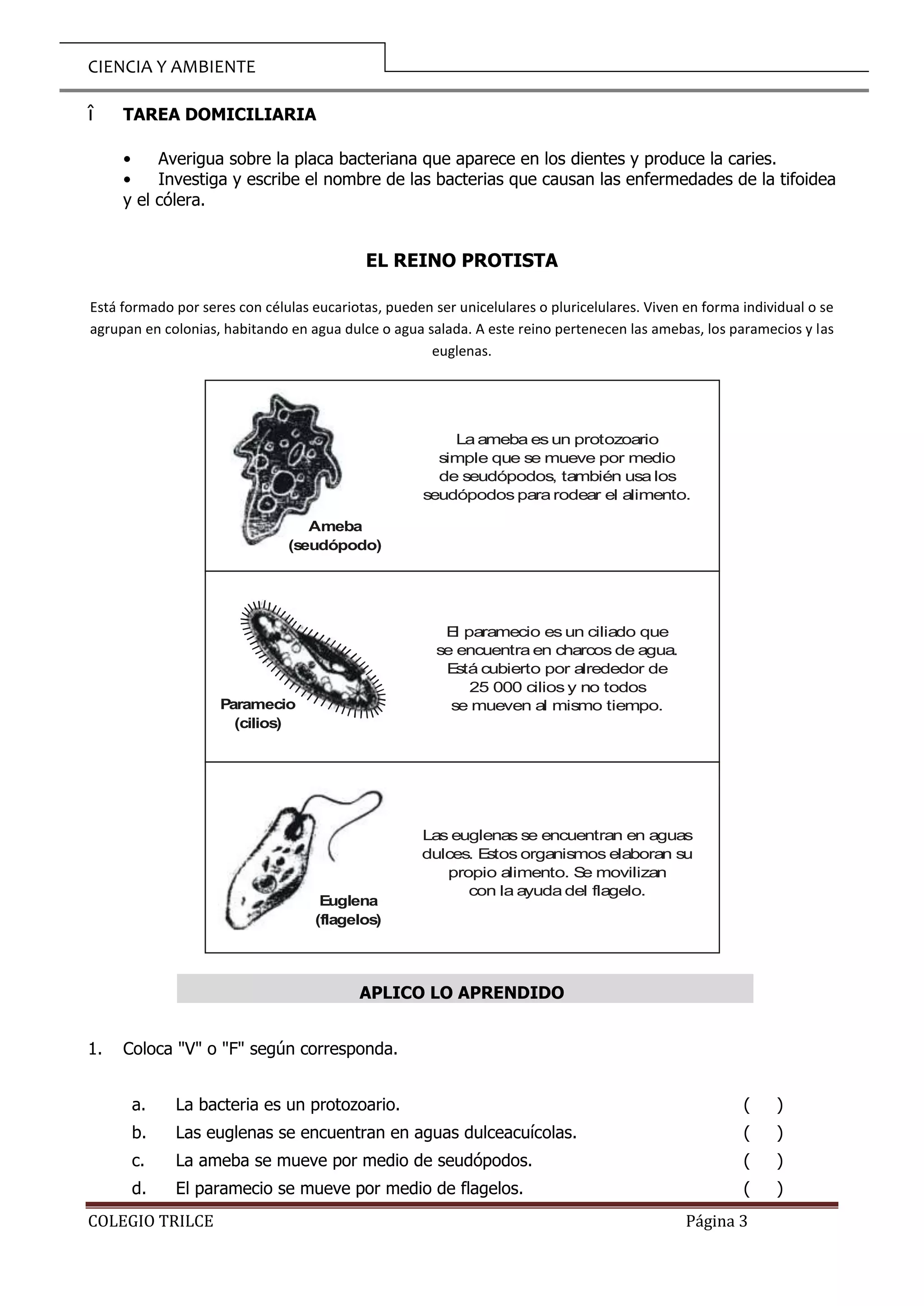 Reinos de la Naturaleza 6to Primaria.doc