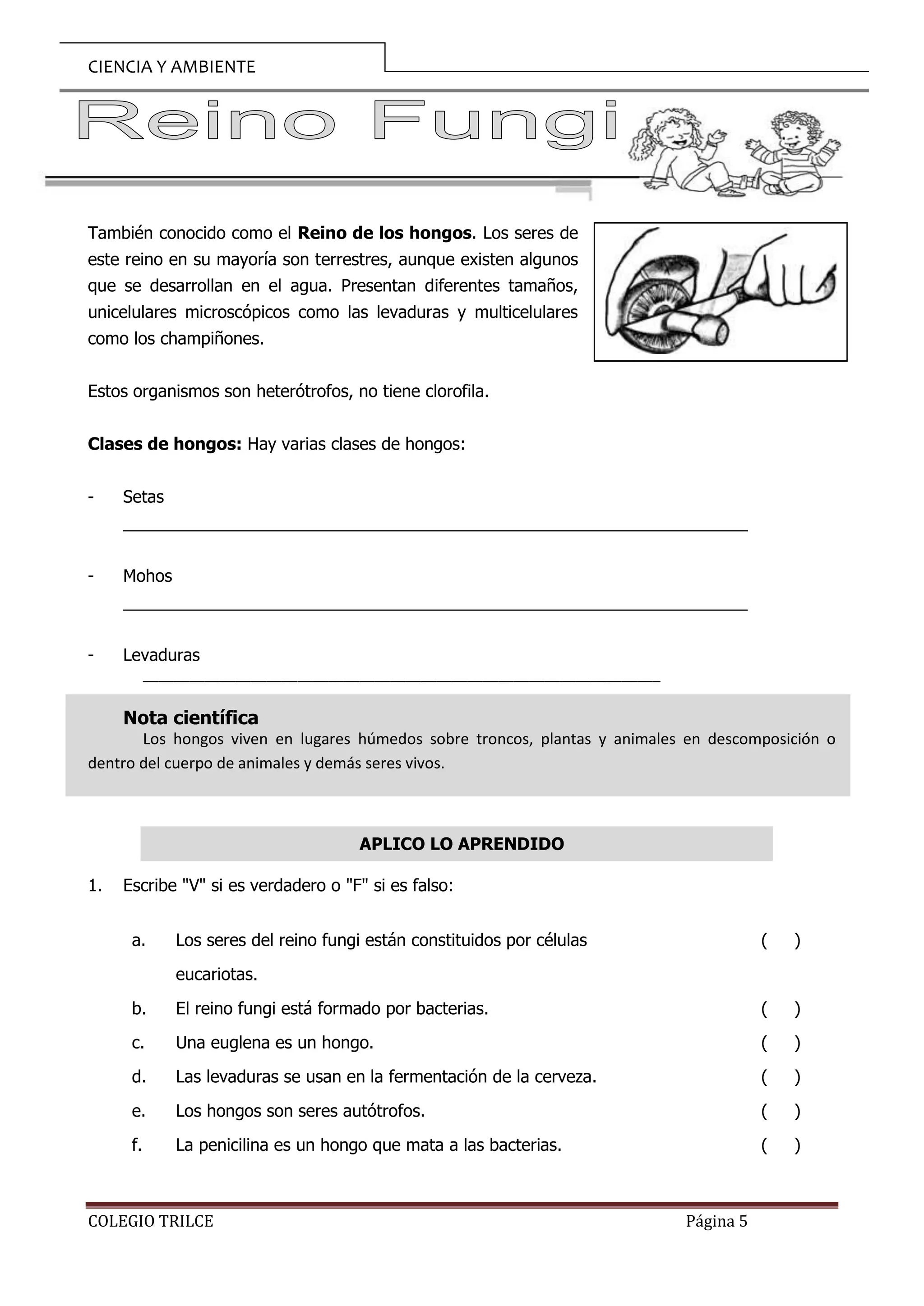 Reinos de la Naturaleza 6to Primaria.doc