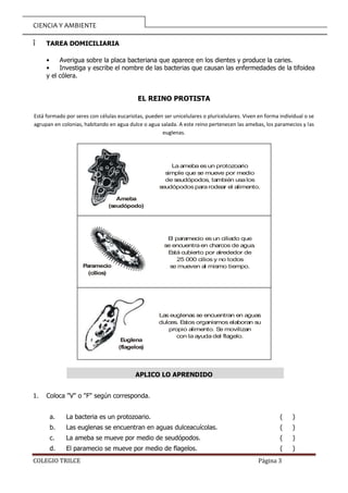CIENCIA Y AMBIENTE
COLEGIO TRILCE Página 3
î TAREA DOMICILIARIA
• Averigua sobre la placa bacteriana que aparece en los di...