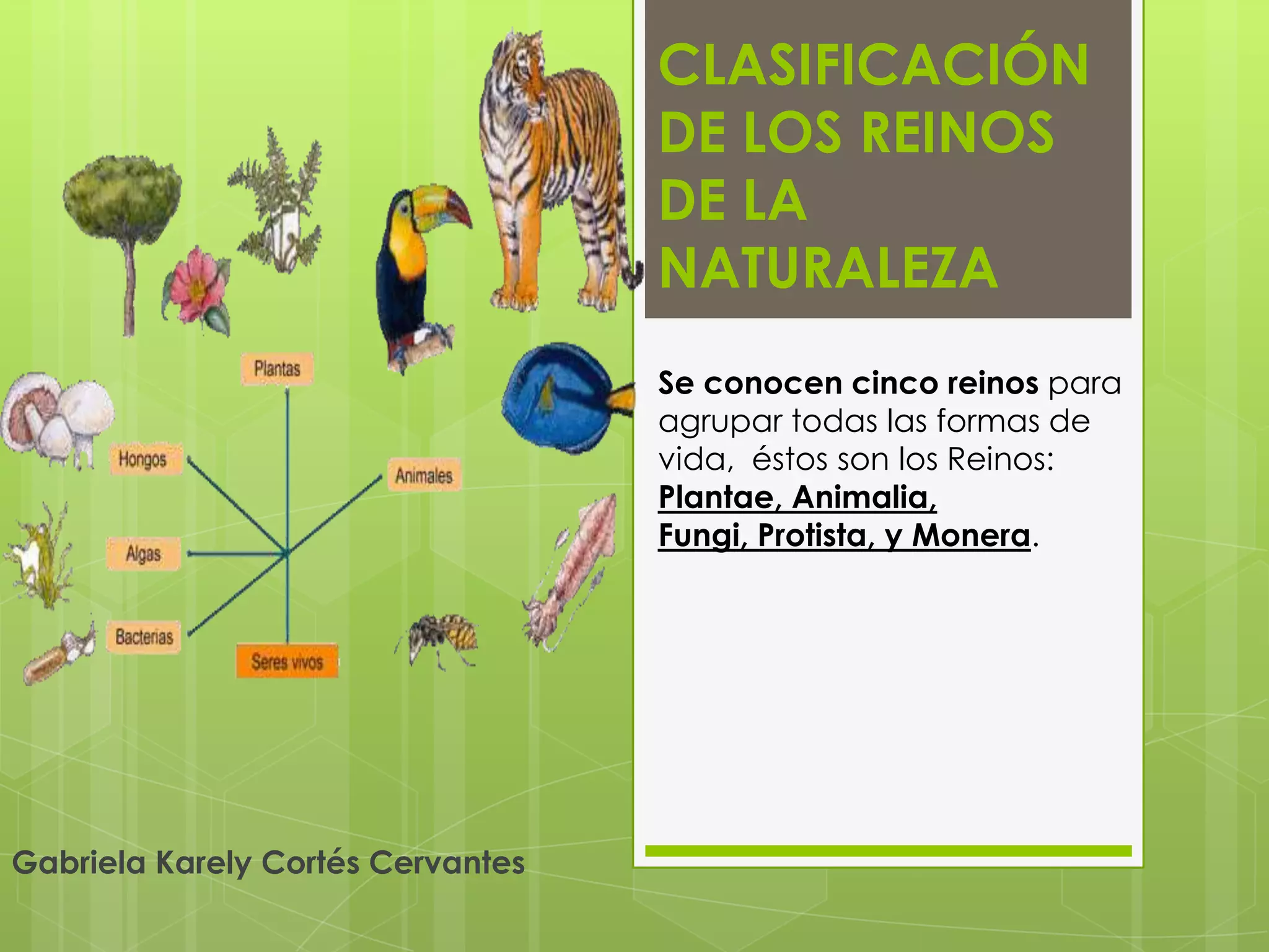 Reinos de la naturaleza gaby | PPTX