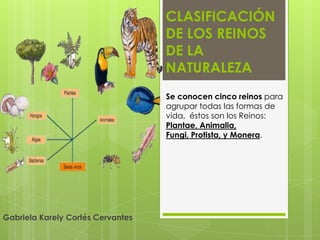 CLASIFICACIÓN
DE LOS REINOS
DE LA
NATURALEZA
Gabriela Karely Cortés Cervantes
Se conocen cinco reinos para
agrupar todas las formas de
vida, éstos son los Reinos:
Plantae, Animalia,
Fungi, Protista, y Monera.
 