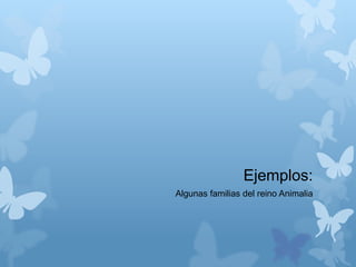 Ejemplos:
Algunas familias del reino Animalia
 