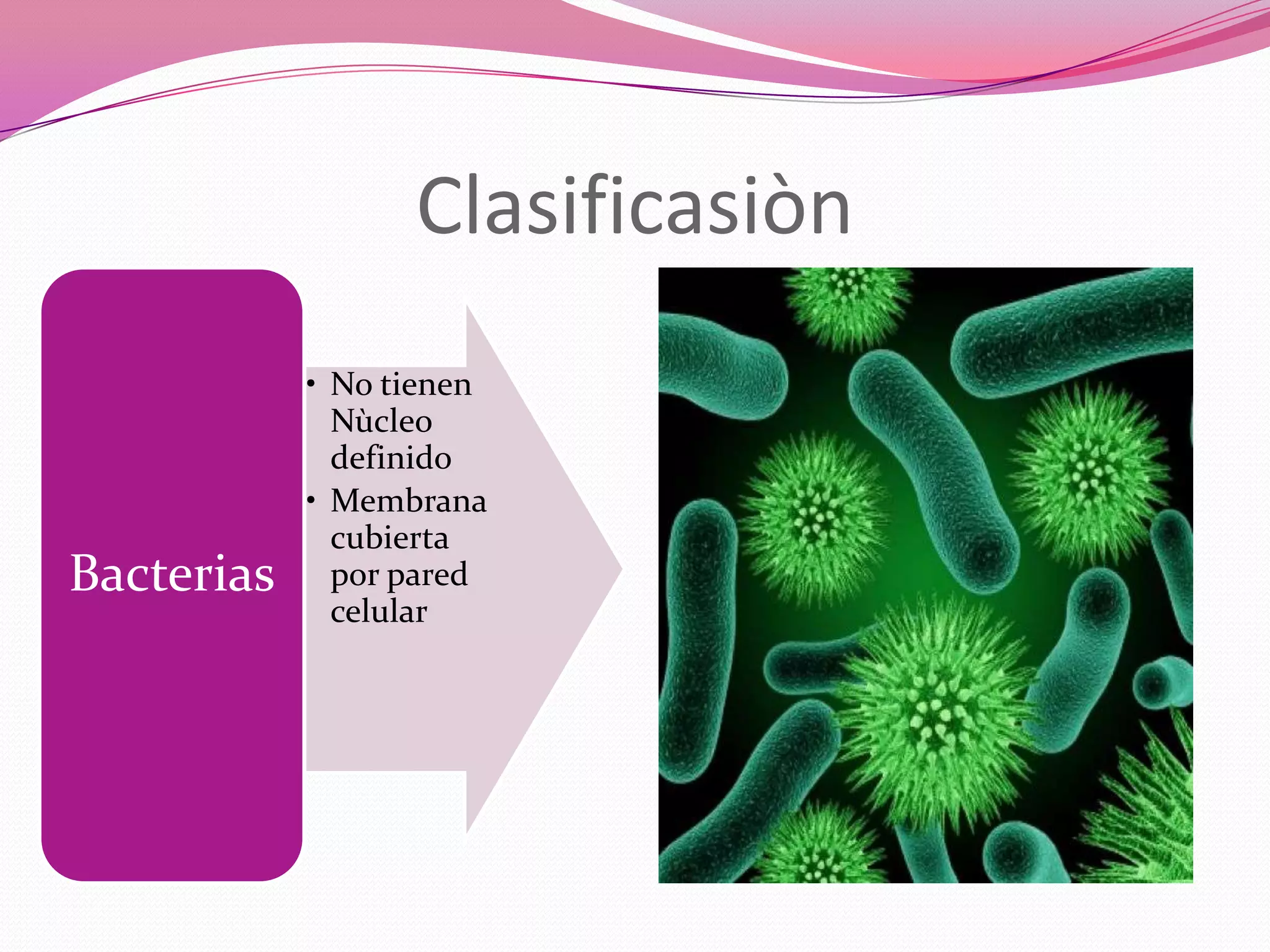 Reinos Monera, Protista, Fungi | PPTX