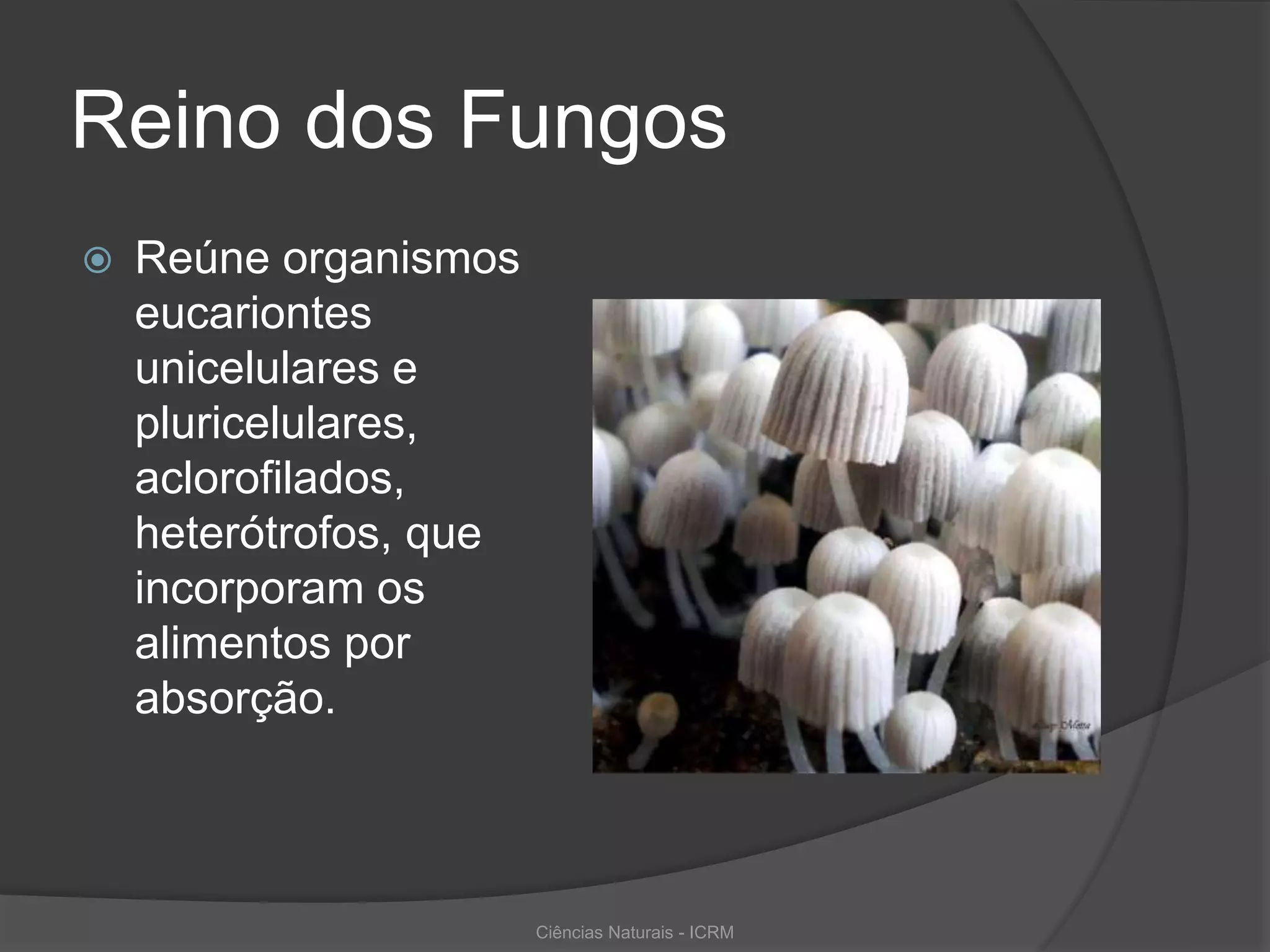 Reinos dos fungos prof Ivanise Meyer | PPSX