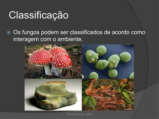 Classificação
 Os fungos podem ser classificados de acordo como
interagem com o ambiente.
Ciências Naturais - ICRM
 