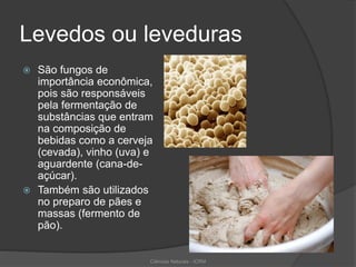 Levedos ou leveduras
 São fungos de
importância econômica,
pois são responsáveis
pela fermentação de
substâncias que entram
na composição de
bebidas como a cerveja
(cevada), vinho (uva) e
aguardente (cana-de-
açúcar).
 Também são utilizados
no preparo de pães e
massas (fermento de
pão).
Ciências Naturais - ICRM
 