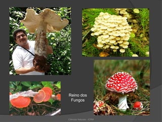 Reino dos
Fungos
Ciências Naturais - ICRM
 