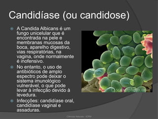 Candidíase (ou candidose)
 A Candida Albicans é um
fungo unicelular que é
encontrada na pele e
membranas mucosas da
boca, aparelho digestivo,
vias respiratórias, na
vagina, onde normalmente
é inofensivo.
 No entanto, o uso de
antibióticos de amplo
espectro pode deixar o
sistema imunológico
vulnerável, o que pode
levar à infecção devido à
levedura.
 Infecções: candidíase oral,
candidíase vaginal e
assaduras.
Ciências Naturais - ICRM
 