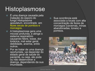 Histoplasmose
 É uma doença causada pela
inalação do esporo do
fungo Histoplasma
apsulatum, encontrado em
fezes secas de pombos e
morcegos.
 A histoplasmose gera uma
micose profunda, e atinge o
sistema respiratório
causando febre, tosse, dor
torácica, mal estar geral,
debilidade, anemia, entre
outros.
 Por se tratar de uma doença
oportunista, vai depender do
estado geral de saúde do
paciente, ou seja, ele pode
ou não desenvolver a
doença, dependendo da sua
imunidade.
 Sua ocorrência está
associada a locais com alta
concentração de fezes de
morcegos (cavernas, minas
abandonadas, túneis) e
pombos.
Ciências Naturais - ICRM
 