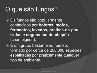 O que são fungos?
 Os fungos são popularmente
conhecidos por bolores, mofos,
fermentos, levedos, orelhas-de-pau,
trufas e cogumelos-de-chapéu
(champignon).
 É um grupo bastante numeroso,
formado por cerca de 200.000 espécies
espalhadas por praticamente qualquer
tipo de ambiente.
Ciências Naturais - ICRM
 