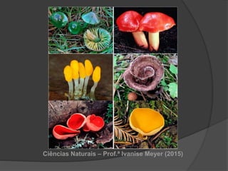 Ciências Naturais – Prof.ª Ivanise Meyer (2015)
 