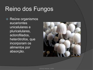 Reino dos Fungos
 Reúne organismos
eucariontes
unicelulares e
pluricelulares,
aclorofilados,
heterótrofos, que
incorporam os
alimentos por
absorção.
Ciências Naturais - ICRM
 