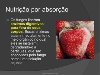 Nutrição por absorção
 Os fungos liberam
enzimas digestivas
para fora de seus
corpos. Essas enzimas
atuam imediatamente no
meio orgânico no qual
eles se instalam,
degradando-o à
partículas, que são
absorvidas pelo fungo
como uma solução
aquosa.
Ciências Naturais - ICRM
 