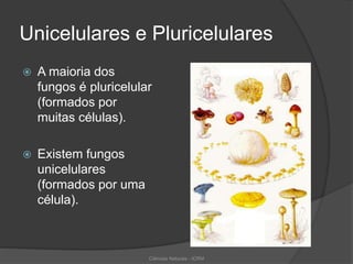 Unicelulares e Pluricelulares
 A maioria dos
fungos é pluricelular
(formados por
muitas células).
 Existem fungos
unicelulares
(formados por uma
célula).
Ciências Naturais - ICRM
 
