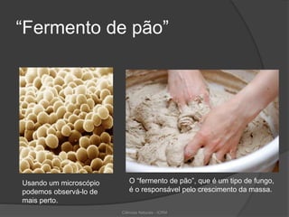 “Fermento de pão”
Usando um microscópio
podemos observá-lo de
mais perto.
O “fermento de pão”, que é um tipo de fungo,
é o responsável pelo crescimento da massa.
Ciências Naturais - ICRM
 