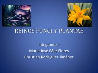 REINOS FUNGI Y PLANTAE

           Integrantes:
     María José Páez Flores
   Christian Rodríguez Jiménez
 