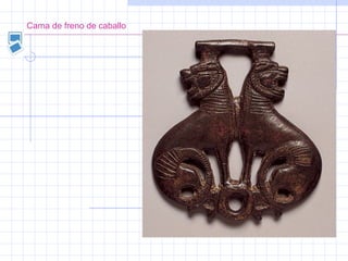 Cama de freno de caballo
 