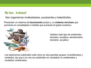 Son organismos multicelulares, eucariontes y heter ótrofos. Reino Animal Presentan un sistema de  locomoción  propio y un  sistema nervioso  que aumenta en complejidad a medida que aumenta el grado evolutivo. Habitan todo tipo de ambientes: terrestre, acuático, aeroterrestre, terrestre- acuático. Los taxónomos subdividen este reino en dos grandes grupos: invertebrados y cordados, los que a su vez se subdividen en cordados no vertebrados y cordados vertebrados. 
