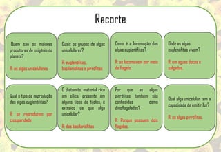 Quem são os maiores
produtores de oxigênio do
planeta?
R: as algas unicelulares
Quais os grupos de algas
unicelulares?
R: euglenófitas,
bacilariófitas e pirrófitas
Como é a locomoção das
algas euglenófitas?
R: se locomovem por meio
de flagelo.
Onde as algas
euglenófitas vivem?
R: em águas doces e
salgadas.
Qual o tipo de reprodução
das algas euglenófitas?
R: se reproduzem por
cissiparidade
O diatomito, material rico
em sílica, presente em
alguns tipos de tijolos, é
extraído de que alga
unicelular?
R: das bacilariófitas
Por que as algas
pirrófitas também são
conhecidas como
dinoflageladas?
R: Porque possuem dois
flagelos.
Qual alga unicelular tem a
capacidade de emitir luz?
R: as algas pirrófitas.
Recorte
 