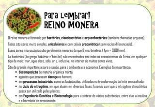 Para lembrar!
REINO MONERA
O reino monera é formado por bactérias, cianobactérias e arqueobactérias (também chamadas arqueas).
Todos são seres muito simples, unicelulares e com célula procariótica (sem núcleo diferenciado).
Esses seres microscópios são geralmente menores do que 8 micrômetros ( 1µm = 0,001 mm).
As bactérias (do grego bakteria = 'bastão') são encontrados em todos os ecossistemas da Terra, em qualquer
tipo de meio: mar, água doce, solo, ar e, inclusive, no interior de muitos seres vivos.
São de grande importância para a saúde, para o ambiente e a economia. Exemplos da importância:
 decomposição de matéria orgânica morta;
 agentes que provocam doença no homem;
 em processos industriais, como os lactobacilos, utilizados na transformação do leite em coalhada;
 no ciclo do nitrogênio, em que atuam em diversas fases, fazendo com que o nitrogênio atmosférico
possa ser utilizado pelas plantas;
 em Engenharia Genética e Biotecnologia para a síntese de várias substâncias, entre elas a insulina
e o hormônio de crescimento.
 