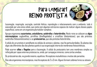 Locomoção, respiração, excreção, controle hídrico, reprodução e relacionamento com o ambiente, tudo é
executado por uma única célula, que conta com algumas estruturas capazes de realizar alguns desses papéis
específicos, como em um organismo pluricelular complexo.
Agrupa organismos eucariontes, unicelulares, autótrofos e heterótrofos. Neste reino se colocam as algas
microscópicas: euglenófitas, pirrófitas (dinoflagelados) e crisófitas (diatomáceas), que são protistas
autótrofos (fotossintetizantes); e os protozoários, que são protistas heterótrofos.
A célula de um protista é semelhante às células de animais e plantas, mas há particularidades. Os plastos das
algas são diferentes dos das plantas quanto à sua organização interna de membranas fotossintéticas.
Pode ocorrer cílios e flagelos para a locomoção. A célula do protozoário tem uma membrana simples ou
reforçada por capas externas proteicas ou, ainda, por carapaças minerais, como certas amebas.
Os protozoários são, na grande maioria, aquáticos. Há espécies mutualísticas e muitas são parasitas.
Eles são organismos microscópicos, mas há espécies de 2 a 3 mm. Alguns formam colônias livres ou sésseis.
Para lembrar!
REINO PROTISTA
 