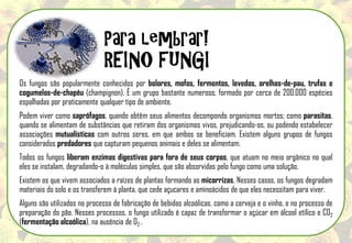 Os fungos são popularmente conhecidos por bolores, mofos, fermentos, levedos, orelhas-de-pau, trufas e
cogumelos-de-chapéu (champignon). É um grupo bastante numeroso, formado por cerca de 200.000 espécies
espalhadas por praticamente qualquer tipo de ambiente.
Podem viver como saprófagos, quando obtêm seus alimentos decompondo organismos mortos; como parasitas,
quando se alimentam de substâncias que retiram dos organismos vivos, prejudicando-os, ou podendo estabelecer
associações mutualísticas com outros seres, em que ambos se beneficiam. Existem alguns grupos de fungos
considerados predadores que capturam pequenos animais e deles se alimentam.
Todos os fungos liberam enzimas digestivas para fora de seus corpos, que atuam no meio orgânico no qual
eles se instalam, degradando-o à moléculas simples, que são absorvidas pelo fungo como uma solução.
Existem os que vivem associados a raízes de plantas formando as micorrizas. Nesses casos, os fungos degradam
materiais do solo e os transferem à planta, que cede açucares e aminoácidos de que eles necessitam para viver.
Alguns são utilizados no processo de fabricação de bebidas alcoólicas, como a cerveja e o vinho, e no processo de
preparação do pão. Nesses processos, o fungo utilizado é capaz de transformar o açúcar em álcool etílico e CO2
(fermentação alcoólica), na ausência de O2 .
Para lembrar!
REINO FUNGI
 