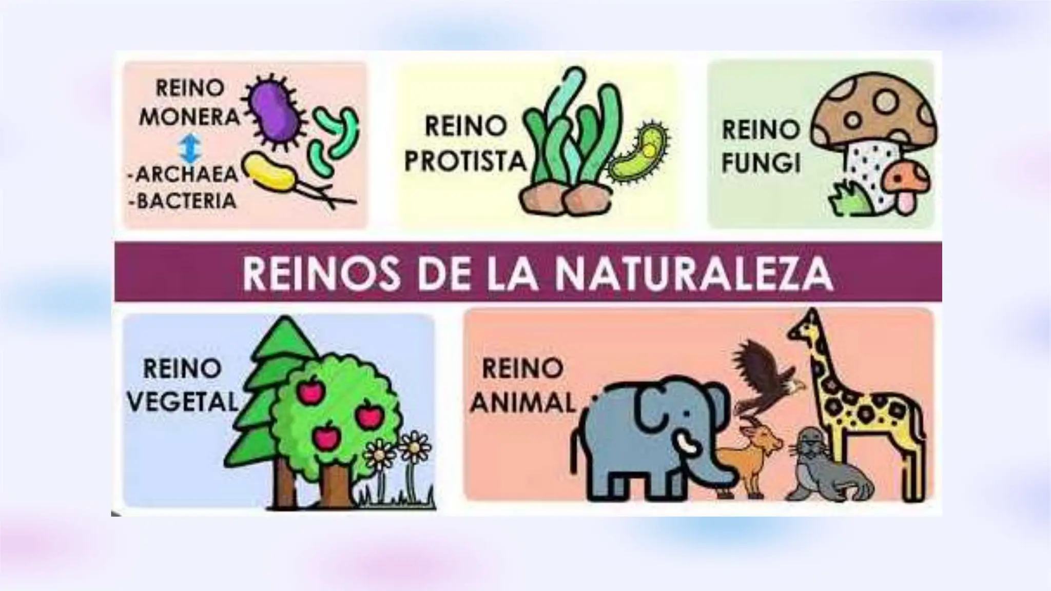 Reinos Y Clasificación Diapositivas.pptx