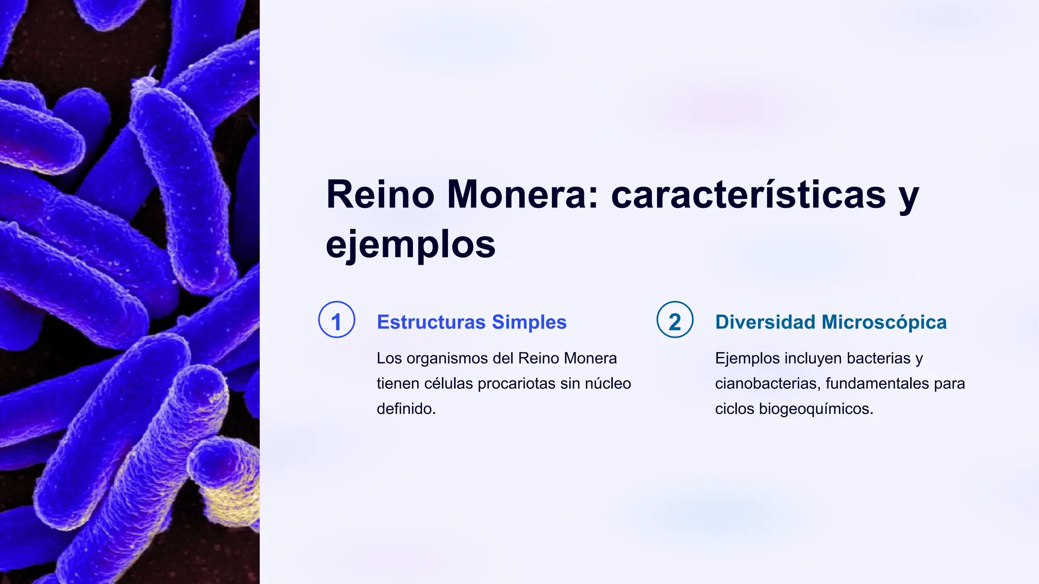 Reinos Y Clasificación Diapositivas.pptx