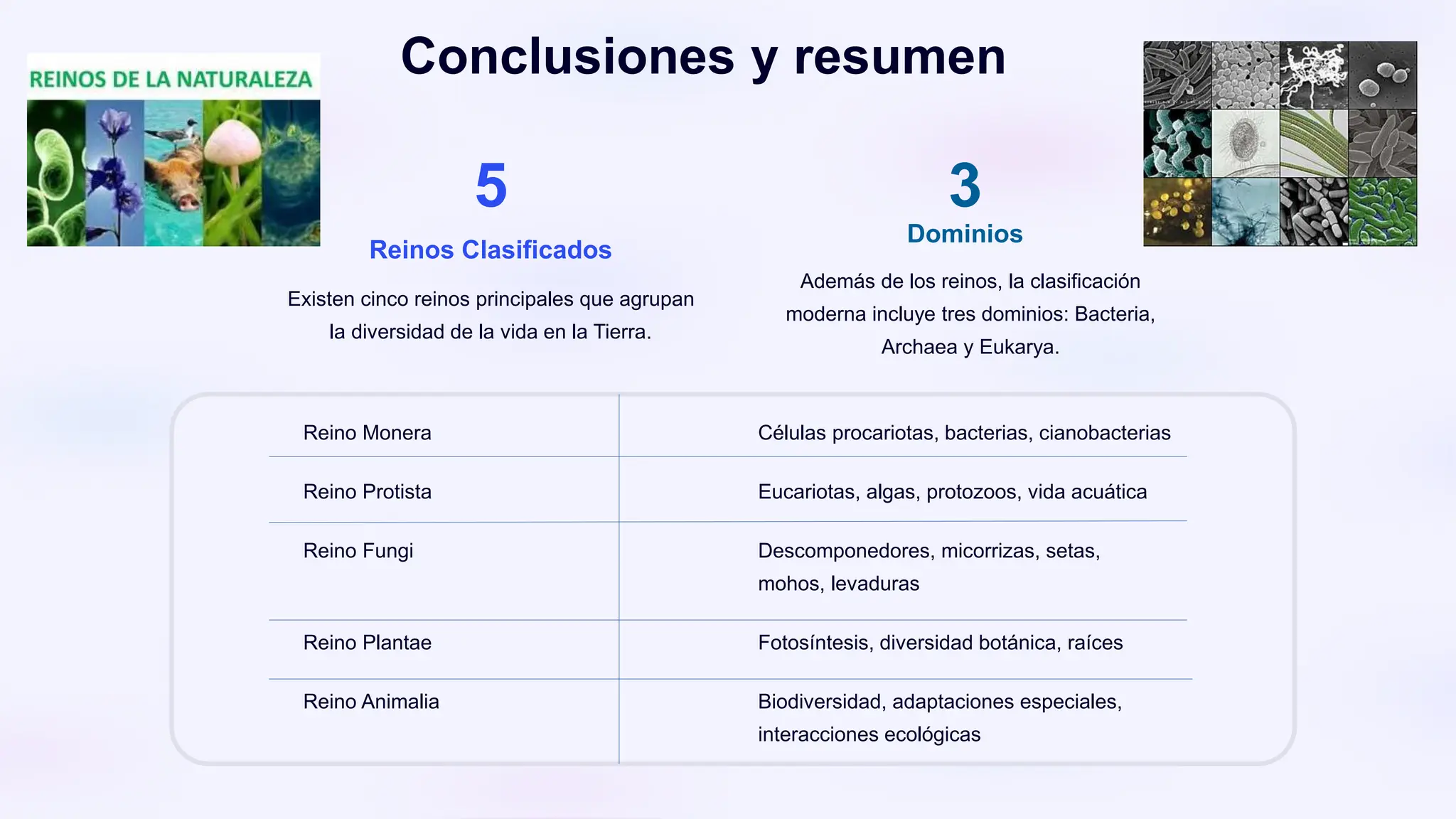 Reinos Y Clasificación Diapositivas.pptx