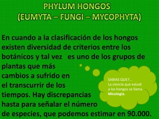 Son algas pluricelulares generalmente de
coloración rojiza debido a la presencia de
la ficoeritgina, pigmento rojizo. Casi todas
las especies viven
en aguas de
bastante
profundidad.
 