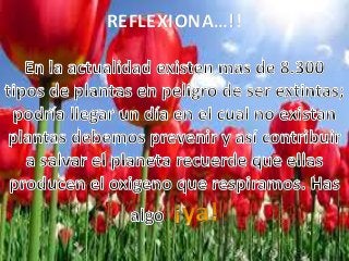 REFLEXIONA…!!
 