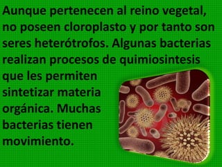 Las bacterias son formas unicelulares, pueden
vivir aisladas y en colonias. Su Núcleo es
difuso. La reproducción se efectúa por fisión o
diversión simple. Son de tamaño microscópico,
la mayoría mide entre una y dos micras. Otras
son más pequeña todavía, pues llega a medir
décimas de micra. Se les llama también
microbios y gérmenes; último nombre alude a
que muchas de ellas causan enfermedades.
 