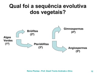 Qual foi a sequência evolutiva dos vegetais? Algas Verdes (1º) Briófitas (2º) Pteridófitas (3º)   Gimnospermas (4º) Angiospermas (5º) 
