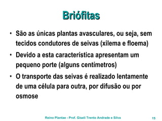 Briófitas São as únicas plantas avasculares, ou seja, sem tecidos condutores de seivas (xilema e floema) Devido a esta característica apresentam um pequeno porte (alguns centímetros) O transporte das seivas é realizado lentamente de uma célula para outra, por difusão ou por osmose 