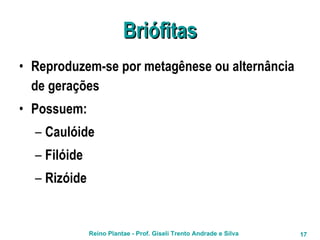 Briófitas Reproduzem-se por metagênese ou alternância de gerações Possuem: Caulóide Filóide Rizóide  
