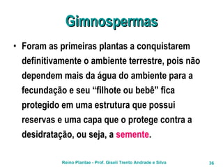 Gimnospermas Foram as primeiras plantas a conquistarem definitivamente o ambiente terrestre, pois não dependem mais da água do ambiente para a fecundação e seu “filhote ou bebê” fica protegido em uma estrutura que possui reservas e uma capa que o protege contra a desidratação, ou seja, a  semente . 