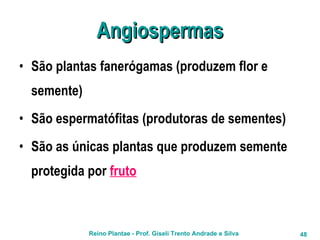 Angiospermas São plantas fanerógamas (produzem flor e semente) São espermatófitas (produtoras de sementes) São as únicas plantas que produzem semente protegida por  fruto 