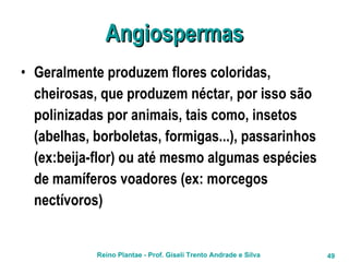 Angiospermas Geralmente produzem flores coloridas, cheirosas, que produzem néctar, por isso são polinizadas por animais, tais como, insetos (abelhas, borboletas, formigas...), passarinhos (ex:beija-flor) ou até mesmo algumas espécies de mamíferos voadores (ex: morcegos nectívoros) 
