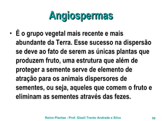 Angiospermas É o grupo vegetal mais recente e mais abundante da Terra. Esse sucesso na dispersão se deve ao fato de serem as únicas plantas que produzem fruto, uma estrutura que além de proteger a semente serve de elemento de atração para os animais dispersores de sementes, ou seja, aqueles que comem o fruto e eliminam as sementes através das fezes. 
