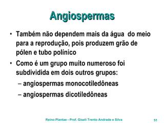 Angiospermas Também não dependem mais da água  do meio para a reprodução, pois produzem grão de pólen e tubo polínico Como é um grupo muito numeroso foi subdividida em dois outros grupos: angiospermas monocotiledôneas angiospermas dicotiledôneas 