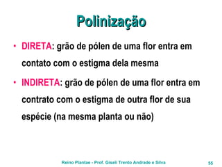 Polinização DIRETA : grão de pólen de uma flor entra em contato com o estigma dela mesma INDIRETA : grão de pólen de uma flor entra em contrato com o estigma de outra flor de sua espécie (na mesma planta ou não) 