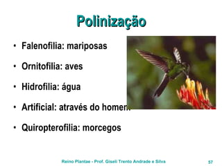 Polinização Falenofilia: mariposas Ornitofilia: aves Hidrofilia: água Artificial: através do homem Quiropterofilia: morcegos 