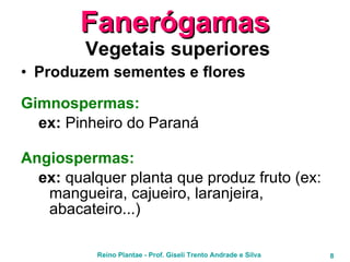 Fanerógamas  Vegetais superiores Produzem sementes e flores Gimnospermas: ex:  Pinheiro do Paraná Angiospermas: ex:  qualquer planta que produz fruto (ex: mangueira, cajueiro, laranjeira, abacateiro...) 