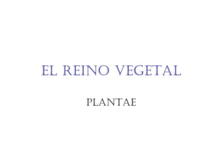 El rEino vEgEtal
PlantaE
 