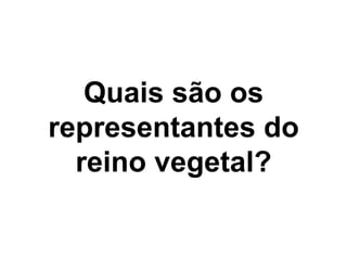 Quais são os representantes do reino vegetal?