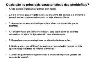 Quais são as principais características das pteridófitas?1. São plantas criptógamas;(plantas sem flores)2. Foi o terceiro grupo vegetal na escala evolutiva das plantas, e o primeiro a possuir vasos condutores de seivas, ou seja, são vasculares;3. A presença da vascularidade permitiu a elas crescerem mais que as briófitas;4. Também vivem em ambientes úmidos, pois assim como as briófitas necessitam da ajuda da água do meio para a fecundação;5. Reproduzem-se por metagênese ou alternância de gerações;6. Neste grupo o gametófito(n) é monóico ou hermafrodita (possui os dois aparelhos reprodutores no mesmo indivíduo);7. A fase de gametófito ou gametofítica é chamada de prótalo (parece um coração de bigode).