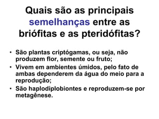 Quais são as principais semelhanças entre as briófitas e as pteridófitas?São plantas criptógamas, ou seja, não produzem flor, semente ou fruto;Vivem em ambientes úmidos, pelo fato de ambas dependerem da água do meio para a reprodução;São haplodiplobiontes e reproduzem-se por metagênese.